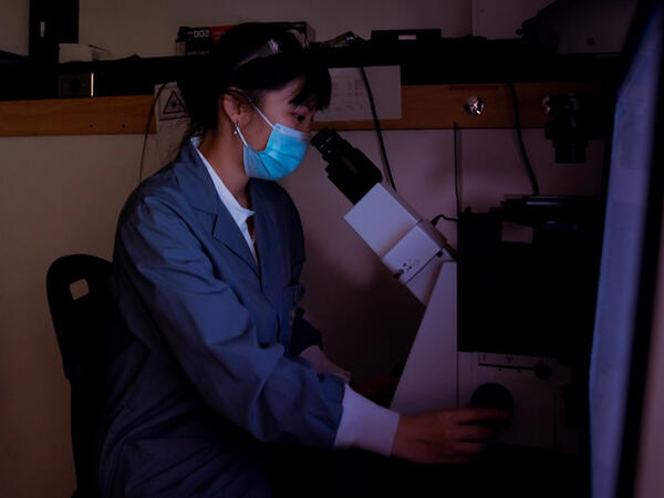 Portrait of Gang Lab Member Tiffany Ho working on a microscope