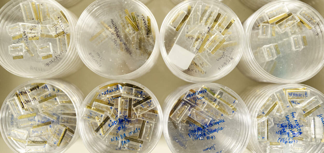 Stored microchips used for disease diagnostics